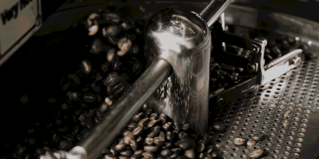 dark roast